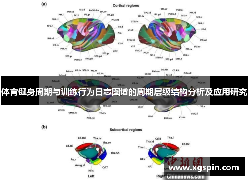 体育健身周期与训练行为日志图谱的周期层级结构分析及应用研究